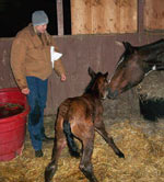 Jackson Stables, YMCA of the Rockies, Estes Park, Colorado