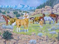 Ron Ball, Jackson Stables, YMCA of the Rockies, Estes Park, Colorado
