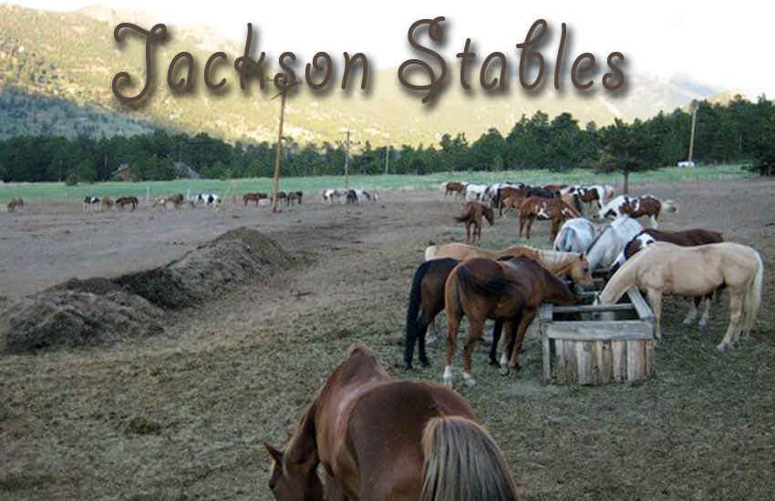 Job Responsibilities at Jackson Stables