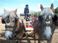 Jackson Stables, YMCA of the Rockies, Estes Park, Colorado