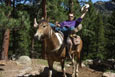 Jackson Stables, YMCA of the Rockies, Estes Park, Colorado