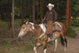 Jackson Stables, YMCA of the Rockies, Estes Park, Colorado