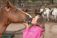 Jackson Stables, YMCA of the Rockies, Estes Park, Colorado