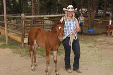 Jackson Stables, YMCA of the Rockies, Estes Park, Colorado