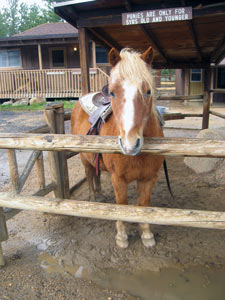 Jackson Stables, YMCA of the Rockies, Estes Park, Colorado